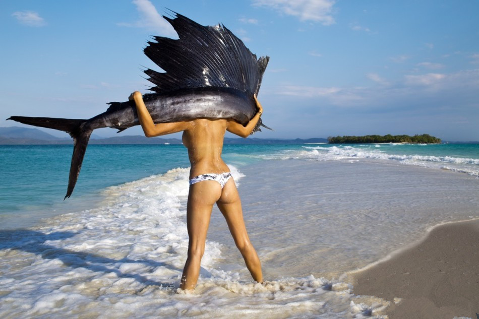 클로버티비,스포츠중계,OGM게임존,스포츠토토,토토어플,클로버벳